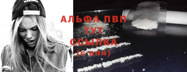 стафф Дмитров