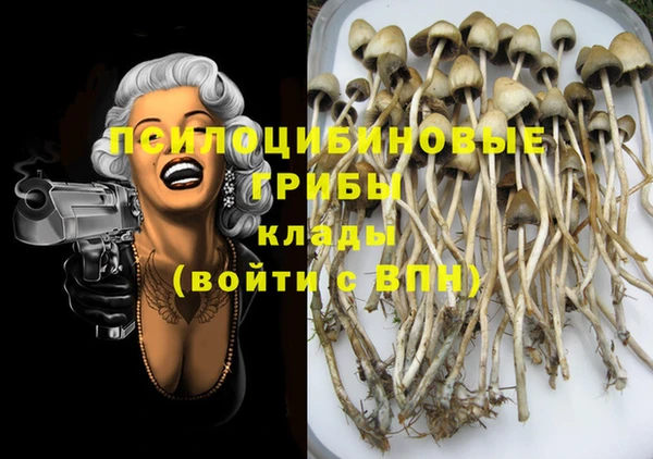 стафф Дмитров