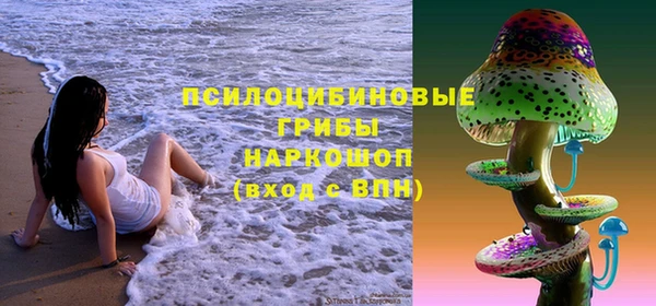 первитин Дмитровск